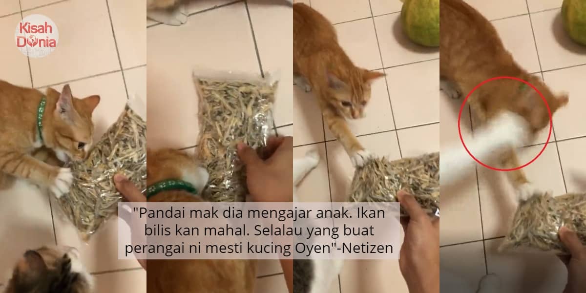 VIDEO] Nakal Curi Sepaket Ikan Bilis, u0027Oyenu0027 Kecut Perut Ditampar 