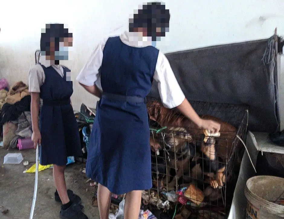 [FOTO] Tergamak Tinggalkan Anak, 3 Beradik Hidup Bertemankan Sampah & 13 Anjing