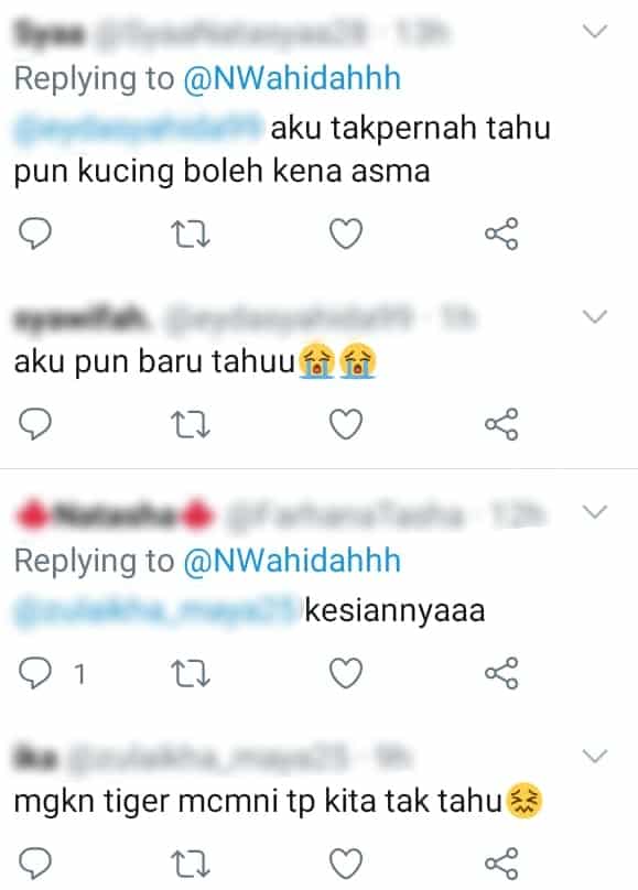 Derita Asma Lepas u0027Dihentamu0027 Kereta, Kucing Gendut Perlu Inhaler 2 