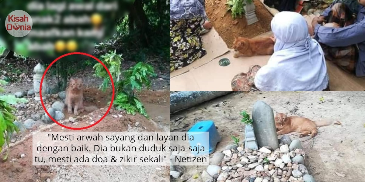 Dah 6 Bulan Hamil Tapi Baby Bump Tak Nampak, Wanita Dedah Keadaan Sebenar..