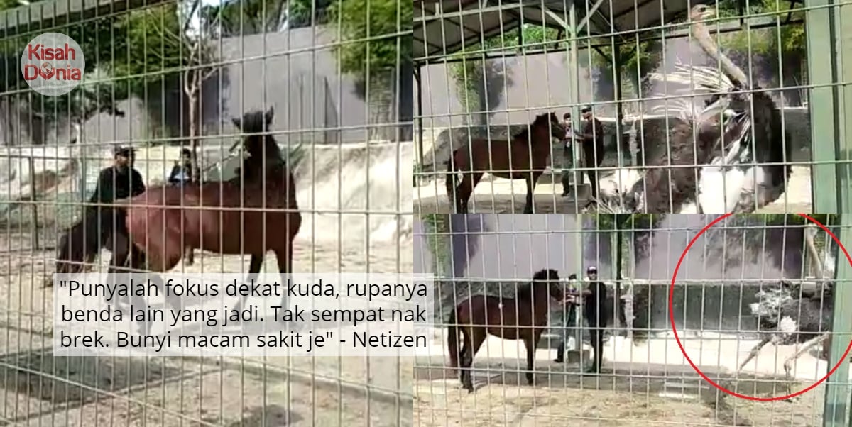 [FOTO] Tergamak Tinggalkan Anak, 3 Beradik Hidup Bertemankan Sampah & 13 Anjing
