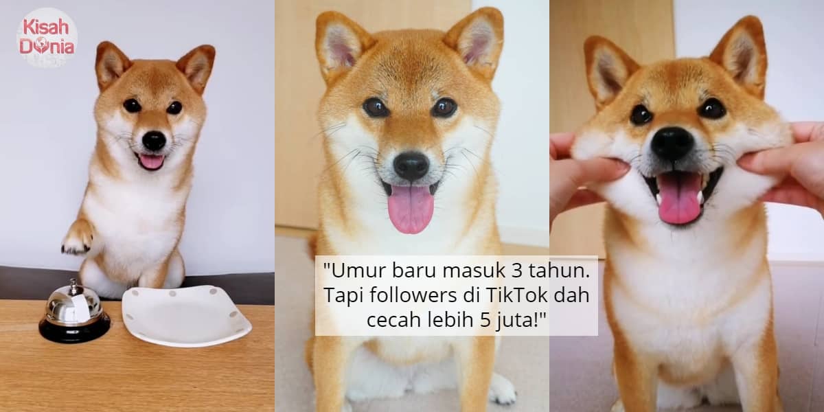[VIDEO] Lebih 2 Juta Views, Ragam Si Abang Selimutkan Adik Tidur Comel Habis