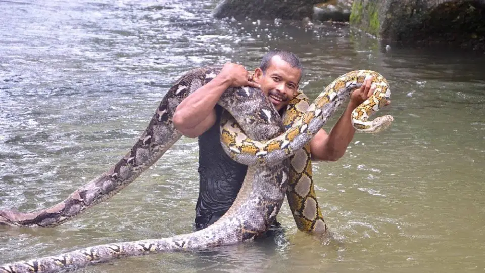 [VIDEO] Berendam Dalam Air, Netizen Akui Excited First Time Tengok Ular Kencing