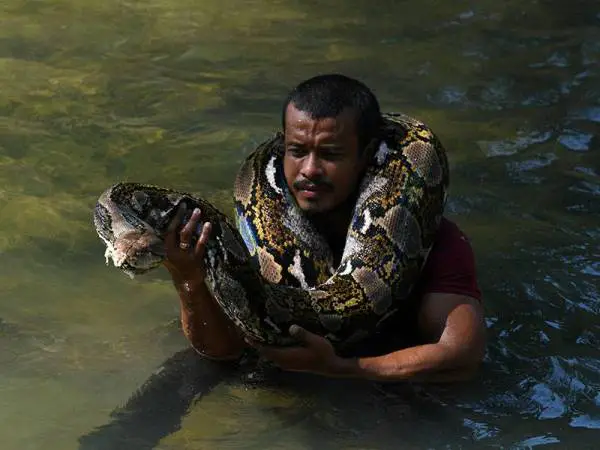 [VIDEO] Berendam Dalam Air, Netizen Akui Excited First Time Tengok Ular Kencing