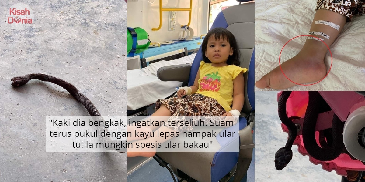 [VIDEO] Prank Difitnah Kutuk Michael Ang, Sekali Ni Pula Respon Elly Mazlein