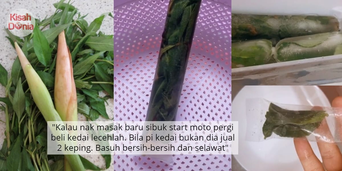 [VIDEO] Tahan Sampai 3 Bulan, Simpan Sayur Herba Anda Guna Teknik Plastik-Beku 6