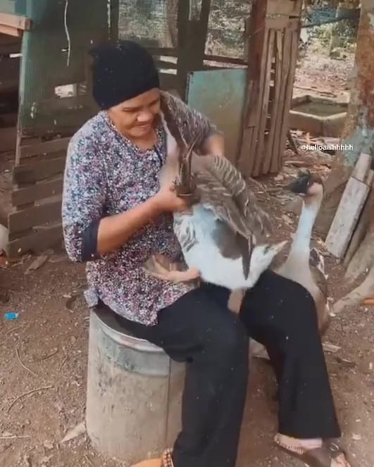 Selalu Kejar Orang, Tak Sangka ‘Samseng Kampung’ Manja Siap Minta Dukung Lagi