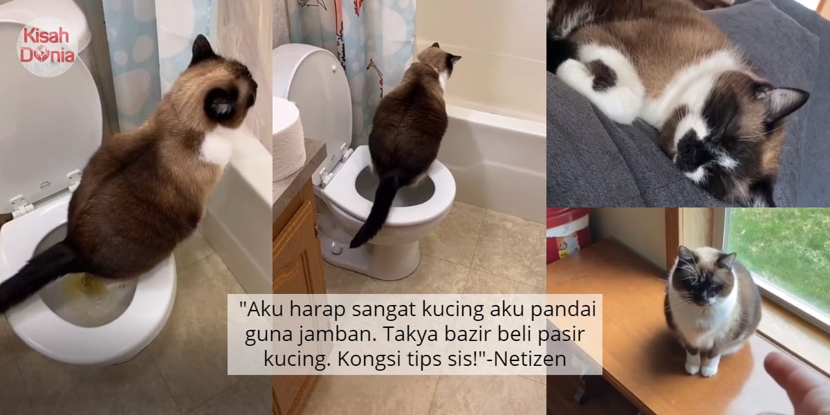[VIDEO] Kena Tunggu Turn Buang Air, Owner Tak Kisah Share Jamban Dengan Kucing 1