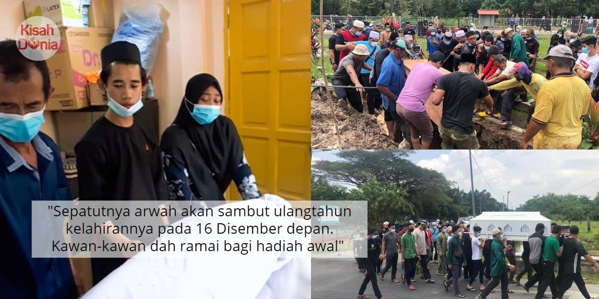 Termakan Rumput Beracun, Budak Tak Keruan Tengok Kucing Ajal Dalam Pangkuan..