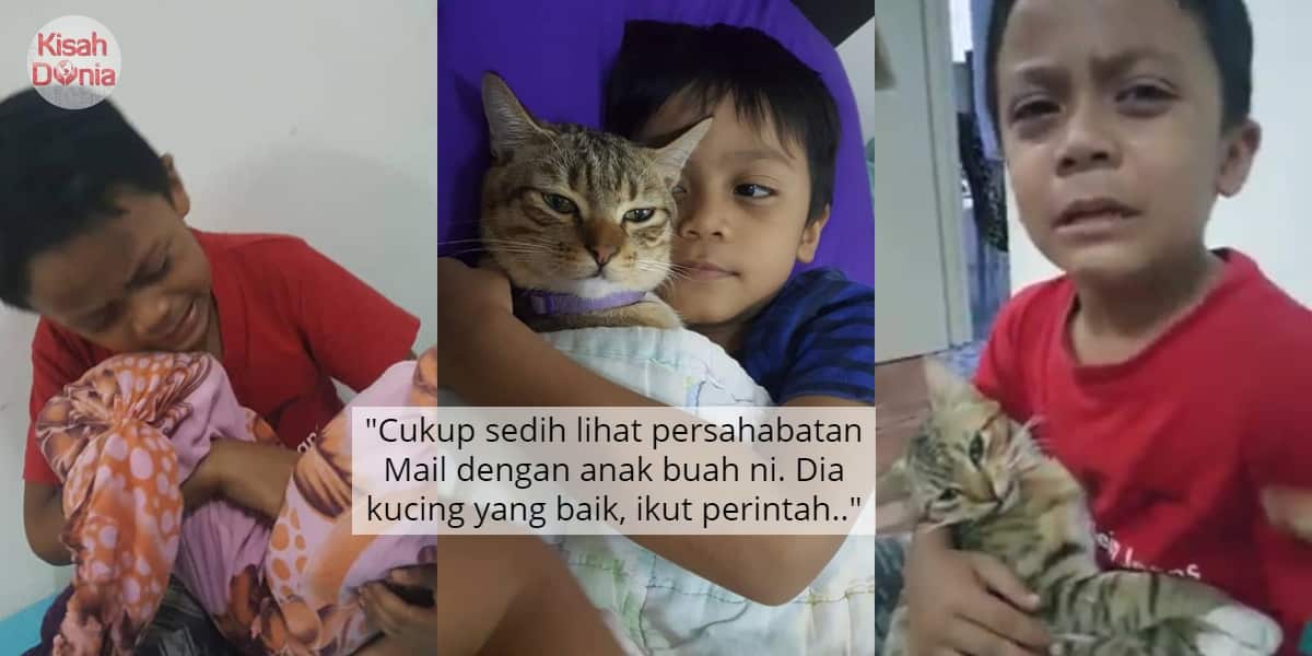 Termakan Rumput Beracun, Budak Tak Keruan Tengok Kucing Ajal Dalam Pangkuan.. 1
