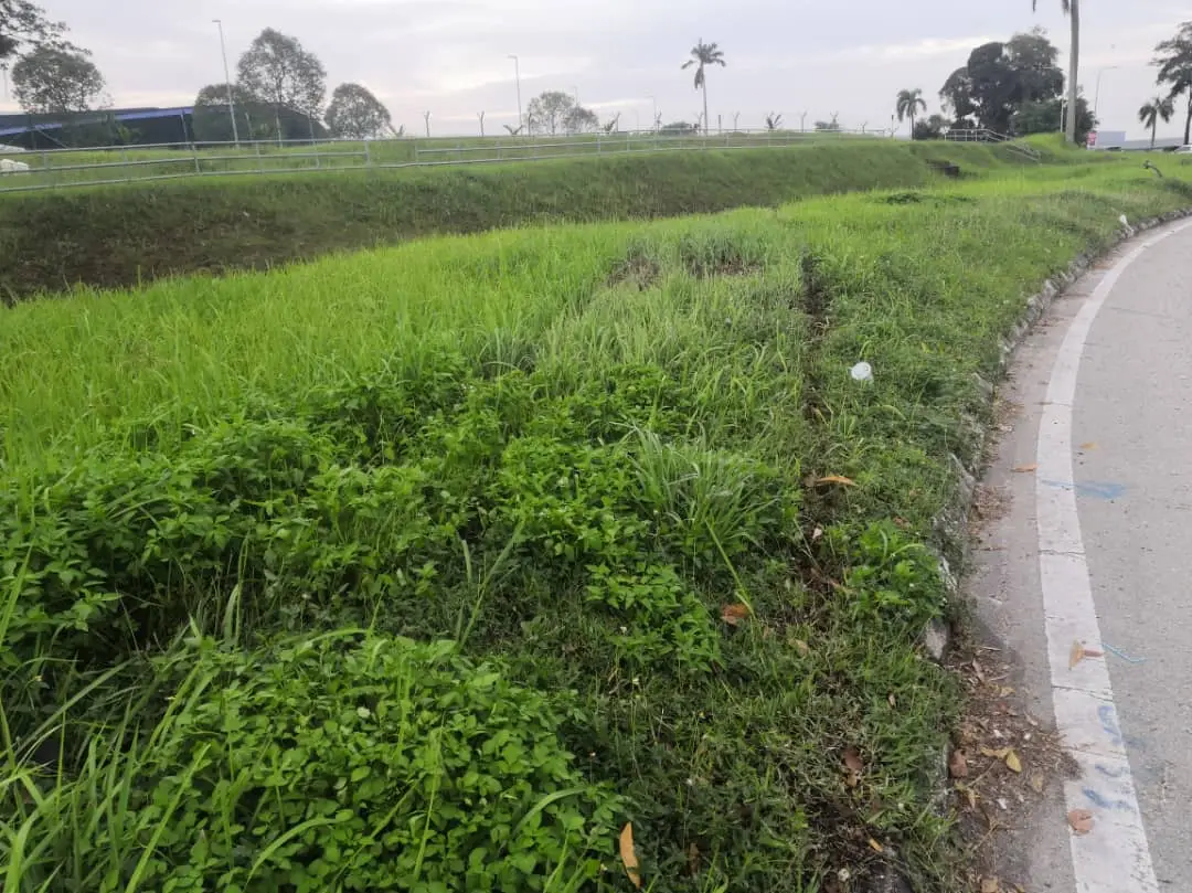 12 Jam Pengsan Kereta Masuk Longkang, Pemuda Gigih Merangkak Cari Bantuan