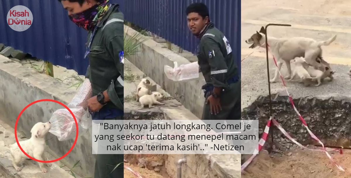 [VIDEO] Ragam Mandikan Anak Monyet Comel Habis – “Dah Macam Belai Anak Sendiri”