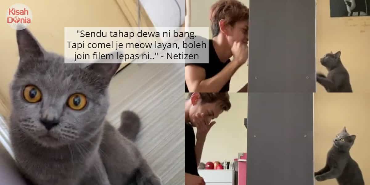 [VIDEO] Kucing Pandai Hayati Watak, Drama 'Cinta Antara 2 Darjat' Lawak Habis 5