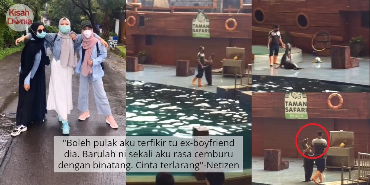 [VIDEO] Pergi Zoo Sebab Heart Broken, Makin Lonely Tengok Anjing Laut Romantik 8