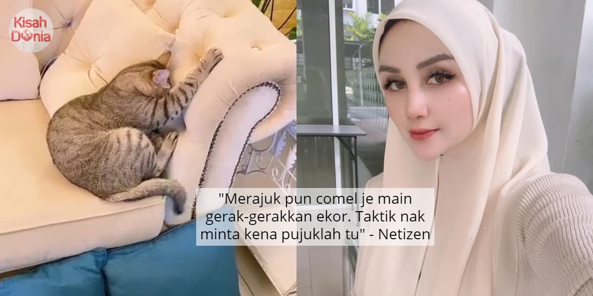 Sentap Tak Paling Muka Langsung, Kucing Merajuk Kat Sofa Lepas Dimarah 'Mommy' 10