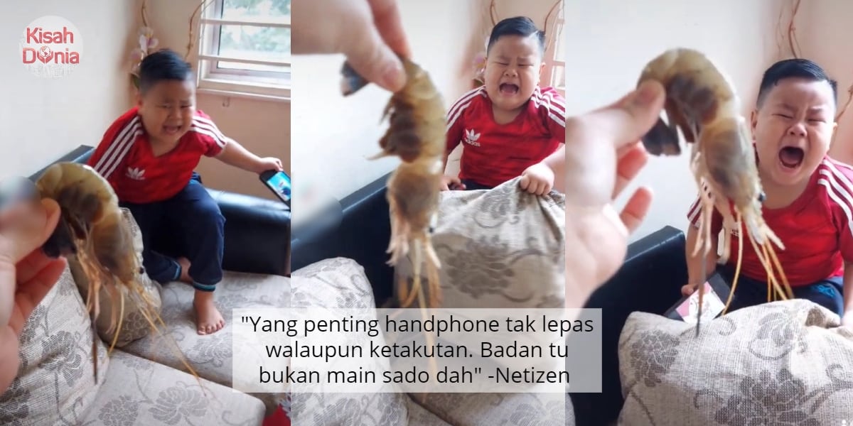 [VIDEO] Budak Jerit Takut Tengok Muka Udang Galah- "Siap Masak Dia Pulun Makan" 4