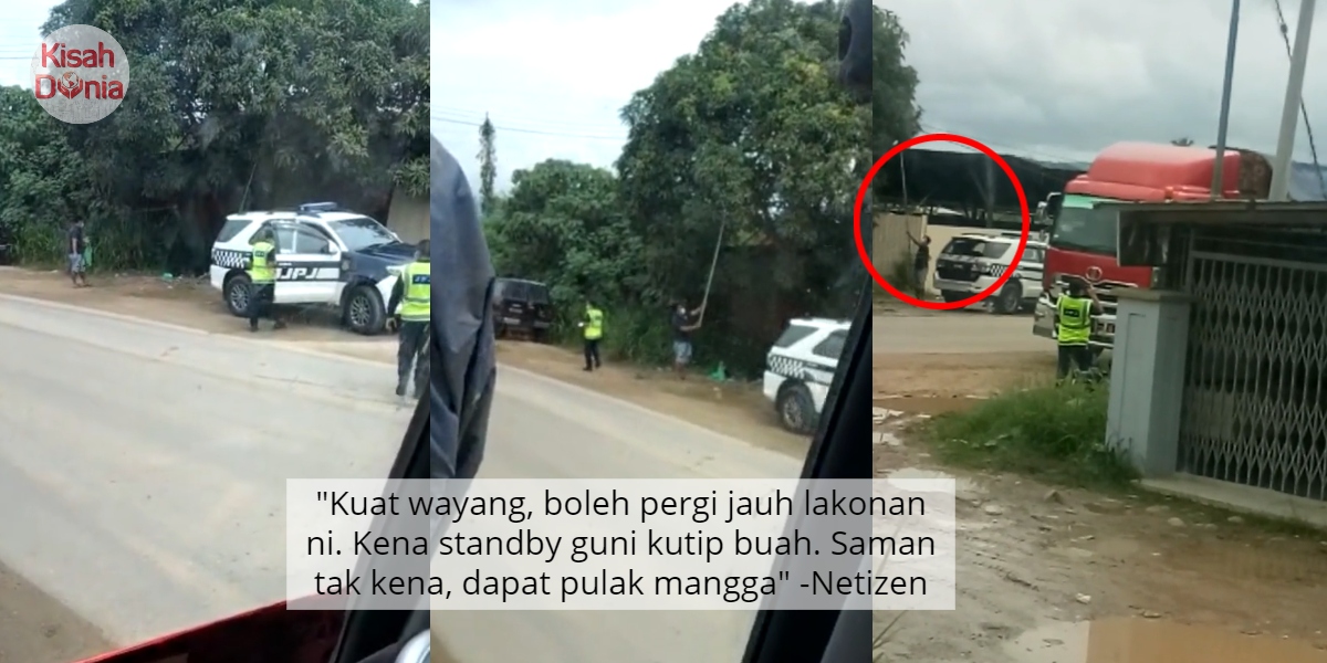 [VIDEO] Cuak Nampak Lori Nak Kena Saman, Driver Terus Berlakon Tengah Kait Buah 19