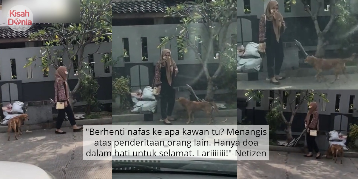 [VIDEO] Pura-Pura Tenang Anjing Datang Bau Seluar, Suara Kawannya Pula Viral 6