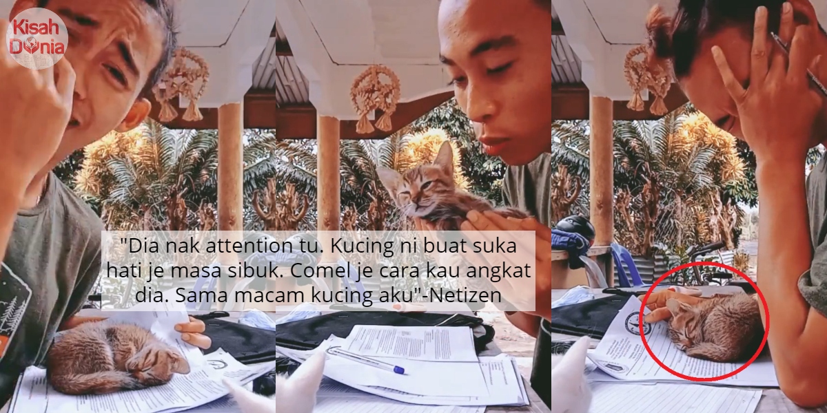 [VIDEO] Tahan Sabar Kucing Asyik Langkah Tidur Atas Kertas, Nak Study Pun Stres 3