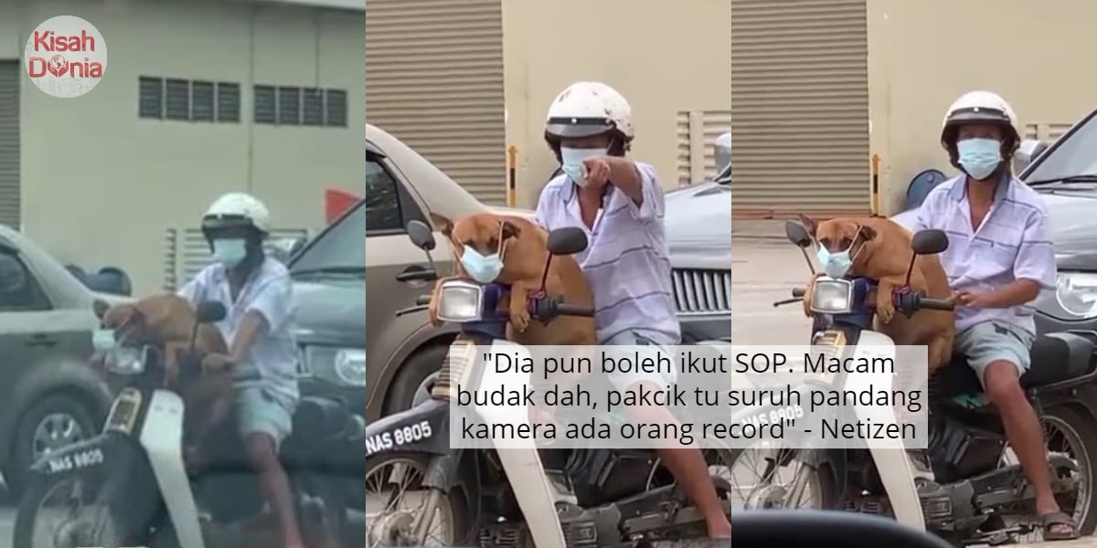 [VIDEO] Raih Sejuta Views, Gelagat Anjing Pakai Mask Naik Motor Comel Habis 40