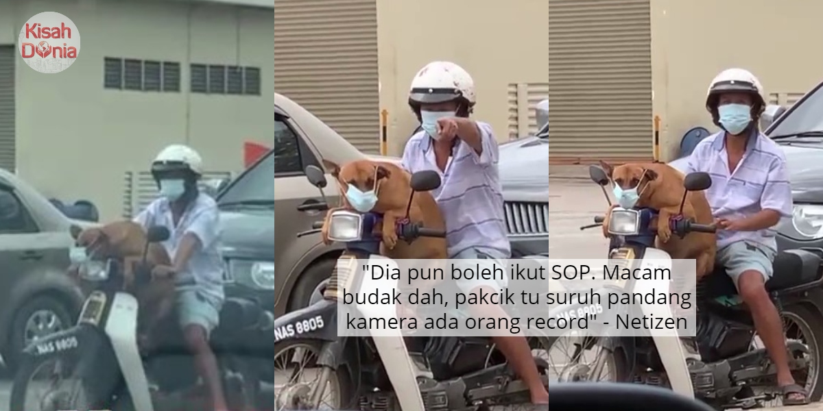 [VIDEO] Raih Sejuta Views, Gelagat Anjing Pakai Mask Naik Motor Comel Habis