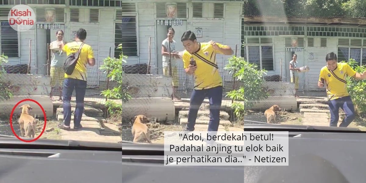 [VIDEO] Cuak Tiba-Tiba Muncul Sebelah, Anjing Pun Ikut 'Melatah' Lompat Sekali 6