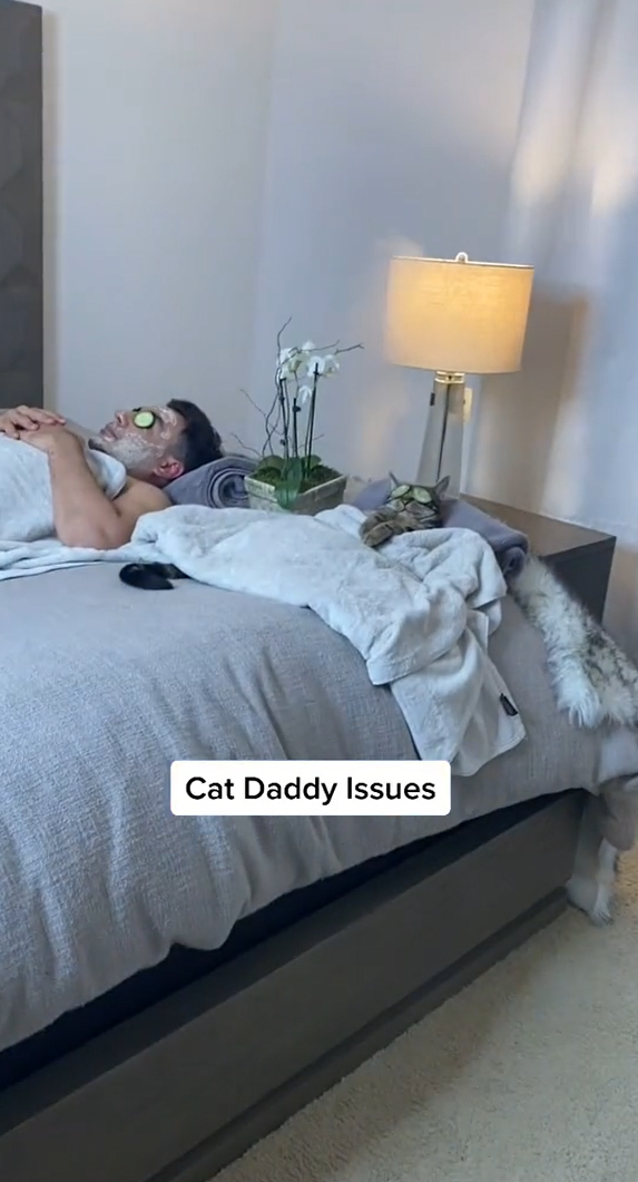 [VIDEO] Bini Terjah Bilik, Kucing & Suaminya Terbaring Buat Facial Tepek Timun
