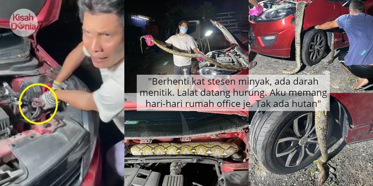 [VIDEO] Balik Kerja Bau Bangkai, Derau Jantung Ular Sawa 'Kiok' Dalam Kereta 7