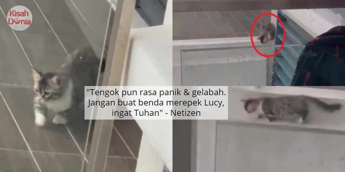 Luruh Jantung..u201d - Sengaja Cari Pasal, Kucing Lintas Tebing 