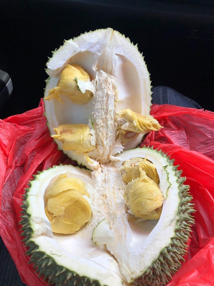 Netizen Risau Ayda Jebat Makan Durian Masa Mengandung, Sebenarnya Boleh Ke Tak? 4