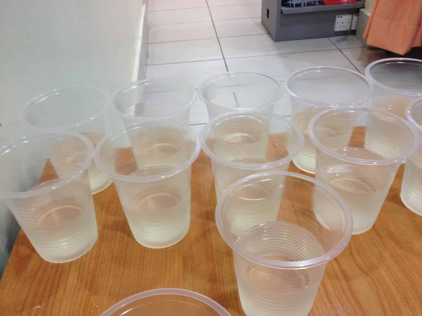 Ibu Hamil Kongsi Tips Tak Muntah Lepas Minum, Air Gula Pink Pula Jadi Perhatian 2