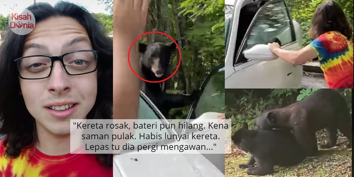 [VIDEO] Kereta Jahanam Dimasuki Beruang, Lelaki 'Sopan' Tolong Bukakan Pintu 3