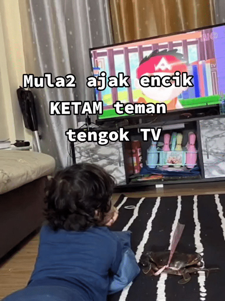 Ayah Beli Ketam Tak Bagi Masak, Anak Boleh Layan Macam BFF Siap Ajak Tengok TV 2
