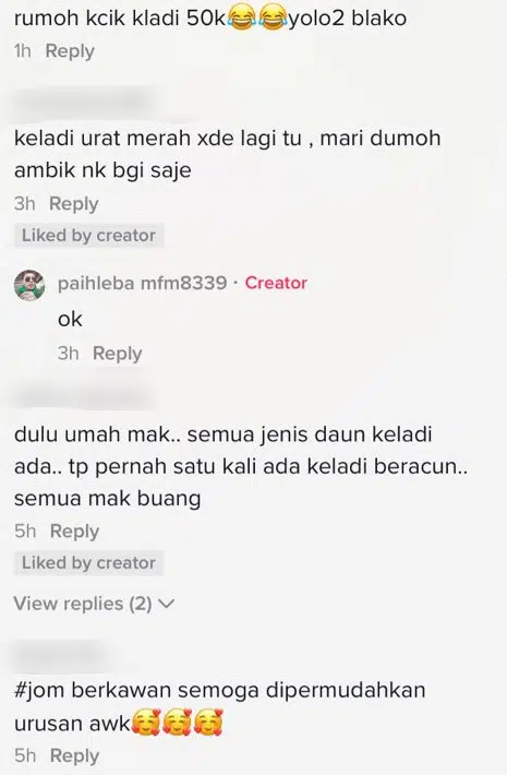 Sanggup Habis Puluh Ribu Beli Keladi ‘Viral’, Lelaki Siap Rantai Takut Dicuri