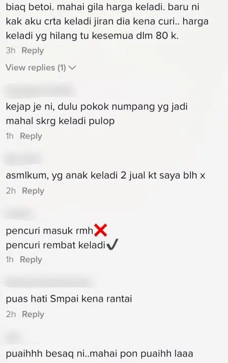 Sanggup Habis Puluh Ribu Beli Keladi ‘Viral’, Lelaki Siap Rantai Takut Dicuri