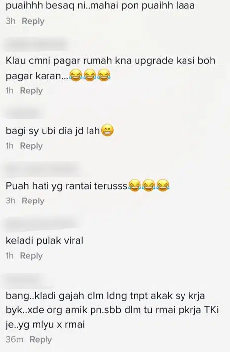 Sanggup Habis Puluh Ribu Beli Keladi ‘Viral’, Lelaki Siap Rantai Takut Dicuri