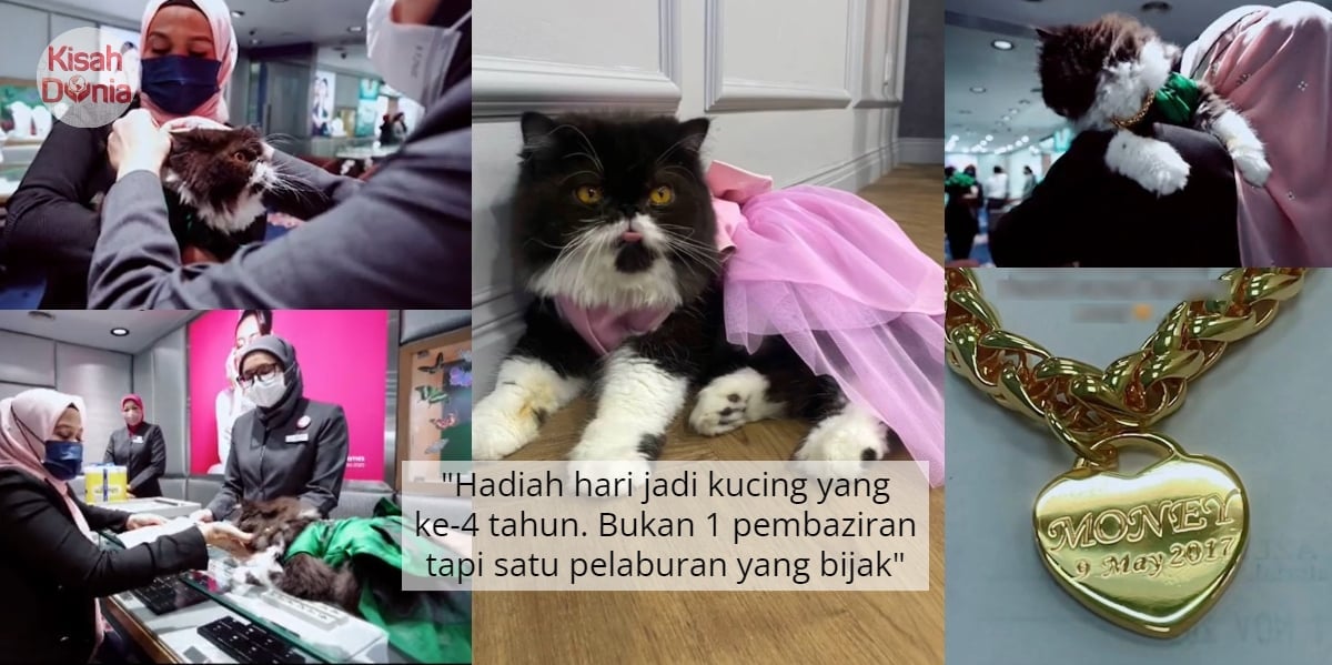 Siap Akad Jual Beli, Wanita Belikan Rantai Emas RM25,980 Untuk Kucing Tersayang 6