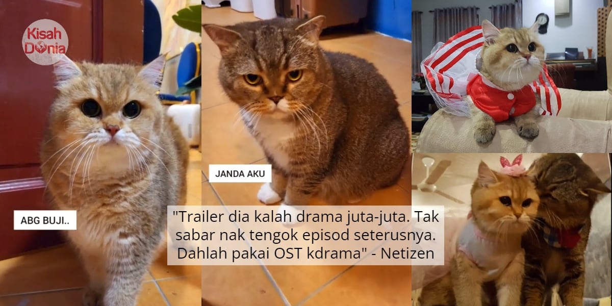 Bujibu Jumpa Balik 'Jandanya' Lepas 6 Tahun Berpisah, Drama Syahdu Depan Pintu 10