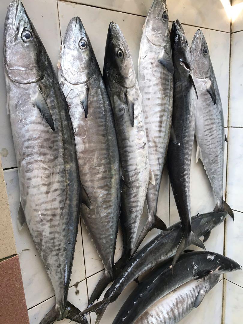 Ganggu Kesuburan, Doktor Saran Yang Sedang Ikhtiar Hamil Elak Makan Ikan Besar 5