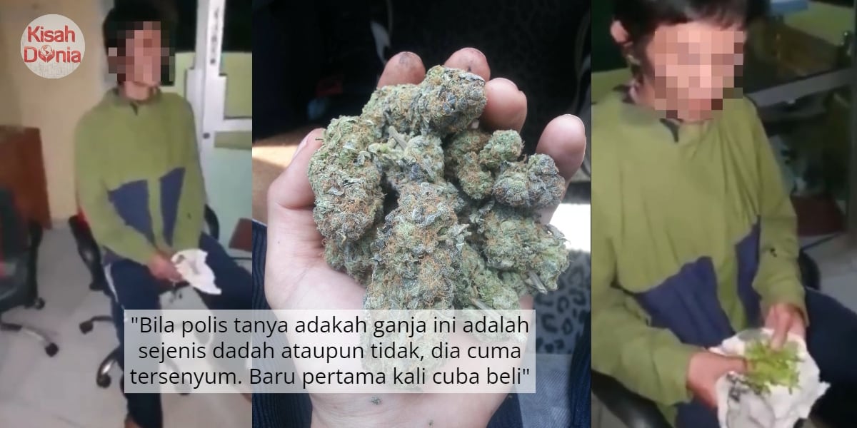 Bayar RM14.75 Beli Ganja Tapi Dapat Daun Saderi, Lelaki Naif Laporkan Ke Polis 3