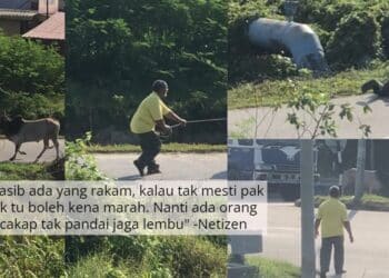 Lepas 4 Tahun Baru Nak Menyesal, Jad Menangis Teruk Dapat Call Pasal DNA Akif?