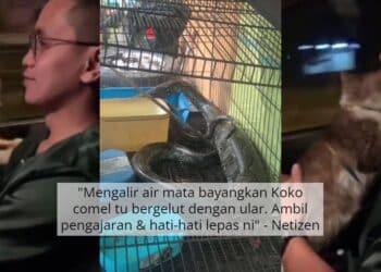 Risau Kantoi Singgah ‘Air Buah Viral’, Pemilik Tutup Plat Kereta Pakai Tuala
