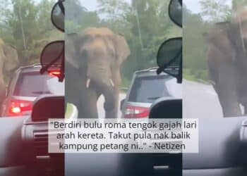 “Zaki Pun Rindu Baba” -Datuk Jamal Muncul Suprise, Anak Menangis Waktu Live TV