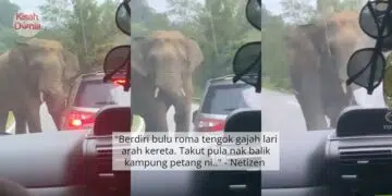 Rider Kongsi Seram Hantar Order Flat Kosong, Tertanya Siapa Budak Muka Pucat?