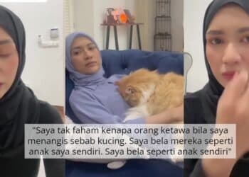 Si Comel Peneman Harian, Zara Zya Menangis Kehilangan Kucing Kesayangan 6