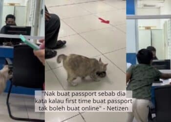 Pengantin Berhijab Enjoy Menari Cucuk Langit, Siap Jemput DJ Bagi Raikan Majlis