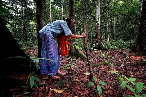 Menggigil Demam Lepas Balik Dari Hutan, Rupanya Ada ‘Benda’ Teman Setiap Malam