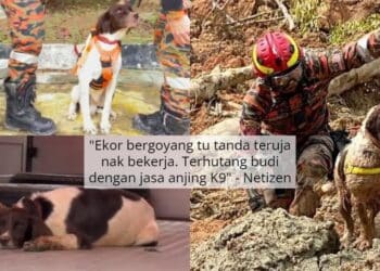 “Ini First Time Join Camping, Kalau Tahu Tak Suruh Dia Pergi” – Keluarga Azwani