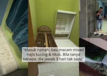 Ibu Kongsi Detik Cemas, Anak Disambar Buaya Masa Nak Ambil Ayam Di Bawah Rumah