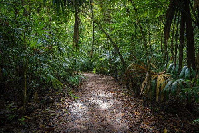 Menggigil Demam Lepas Balik Dari Hutan, Rupanya Ada ‘Benda’ Teman Setiap Malam